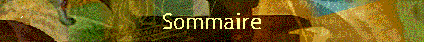 Sommaire