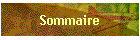 Sommaire