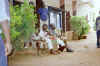 camp scout de lome.jpg (118481 octets)