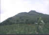 Montagne depuis Cande.jpg (73393 octets)