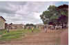 Ecole centrale.jpg (92072 octets)