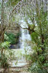 10 Cascade.jpg (215043 octets)