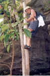 Yohan descend de l'arbre.jpg (81328 octets)