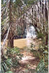 cascade4.jpg (200873 octets)