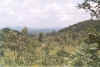 paysage 1ere cascade.jpg (127808 octets)
