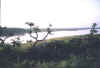 Petit Canyon.jpg (83735 octets)