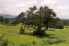 Tanberma - paysage.jpg (159634 octets)