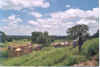 paysage et Tata.jpg (118288 octets)